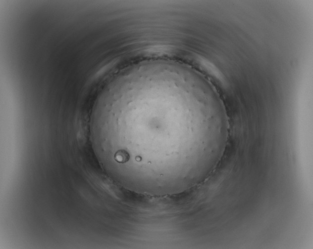 X0000114031015200910021434