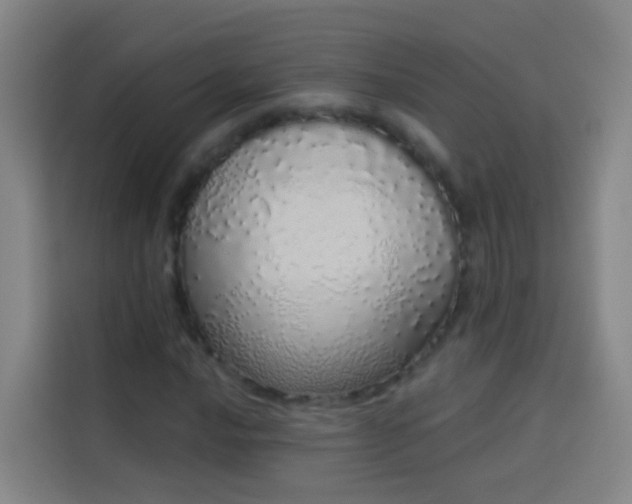 X0000114031016200910021434