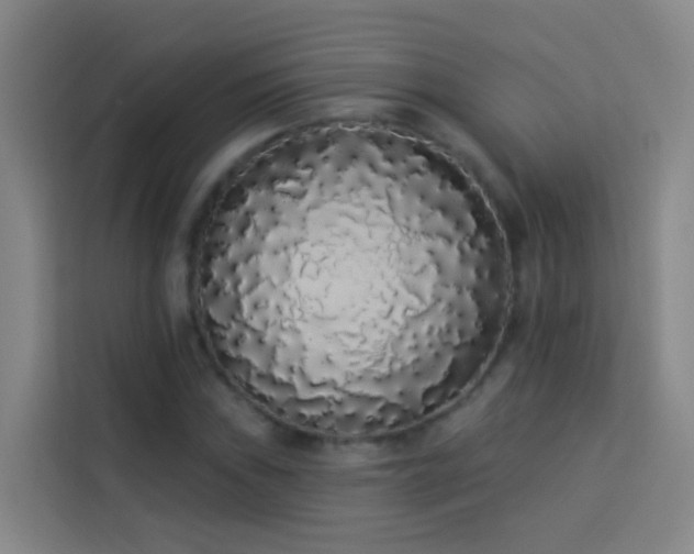 X0000114031019200910021434