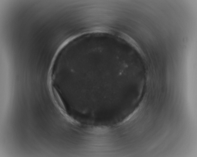 X0000114031024200910021434