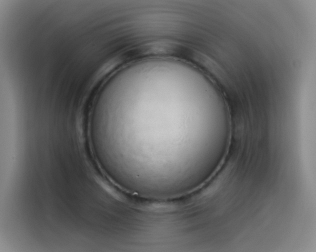 X0000114031026200910021434