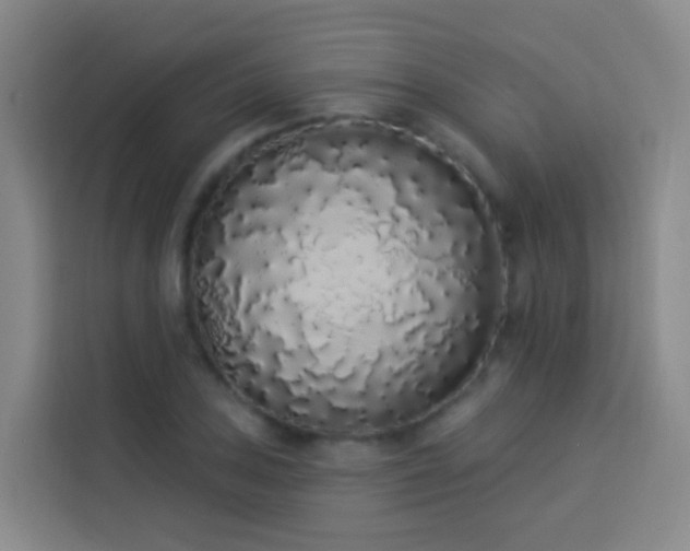 X0000114031027200910021434