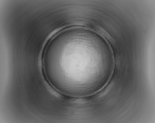 X0000114031028200910021434