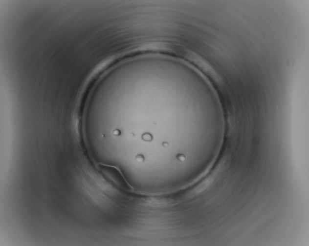 X0000114031029200910021434