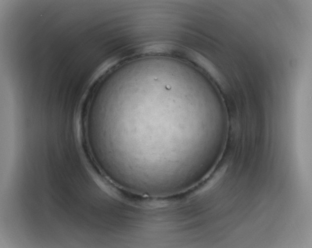 X0000114031034200910021434