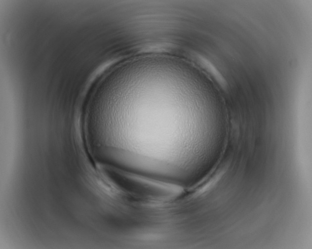 X0000114031035200910021434