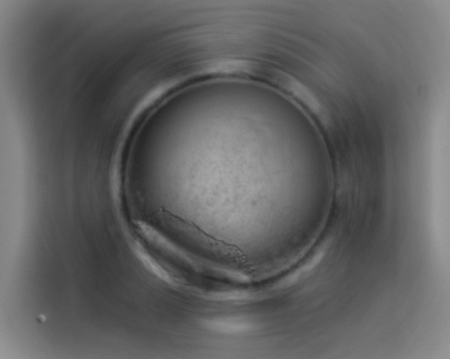 X0000114031037200910021434