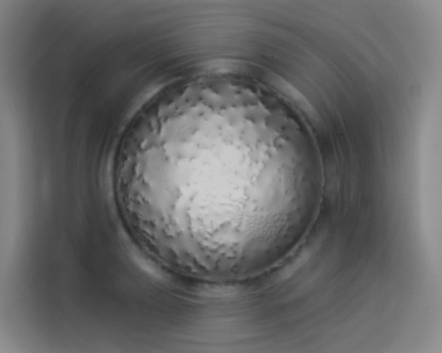 X0000114031039200910021434