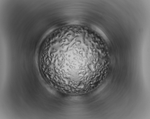 X0000114031043200910021434