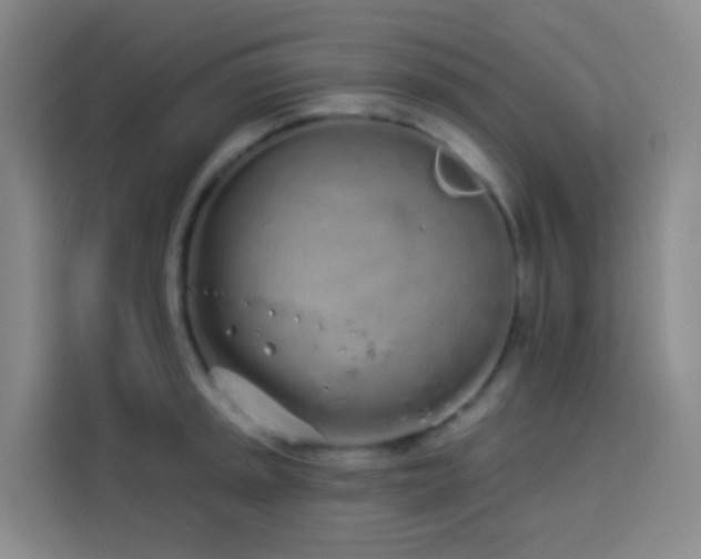 X0000114031045200910021434