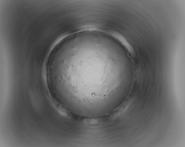 X0000114031051200910021434