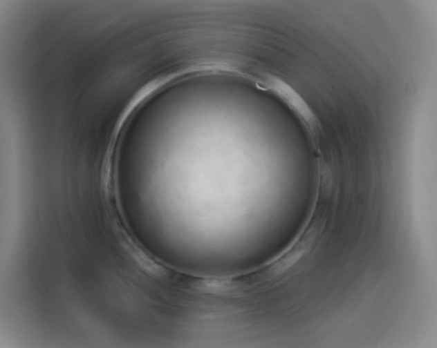 X0000114031052200910021435