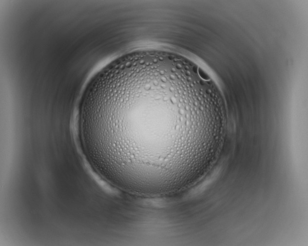 X0000114031053200910021435