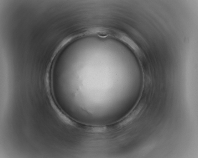 X0000114031055200910021435