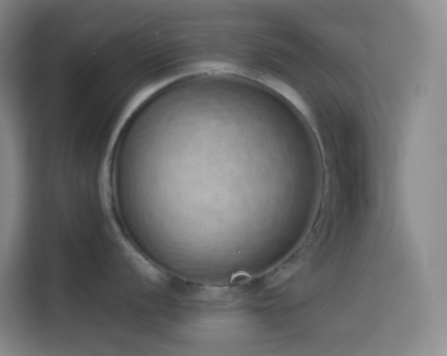 X0000114031056200910021435