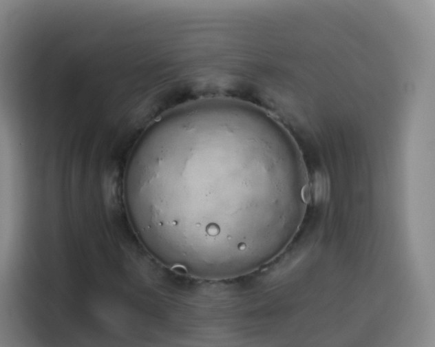 X0000114031059200910021434