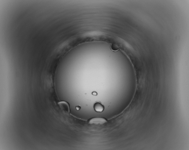 X0000114031062200910021434