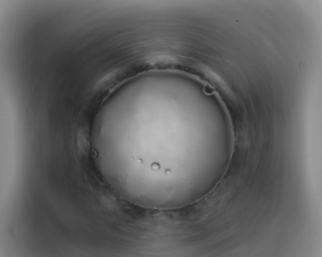 X0000114031063200910021434