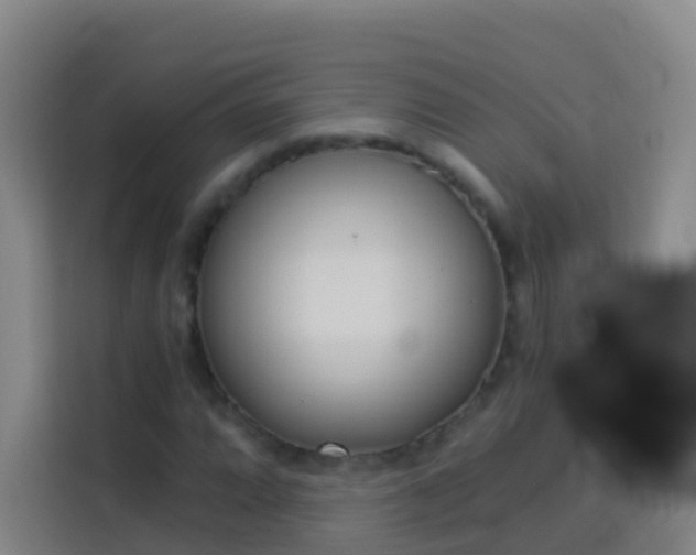 X0000114031064200910021434