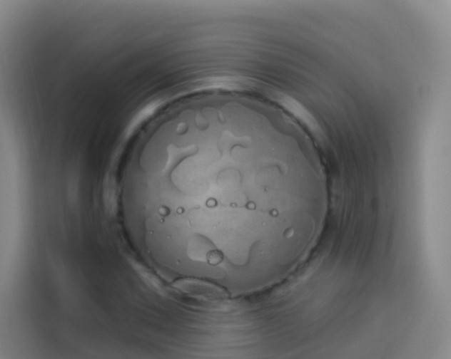 X0000114031067200910021434