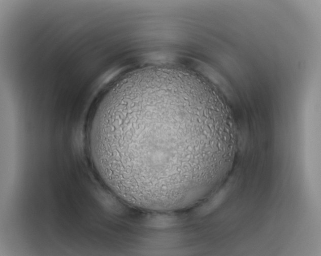 X0000114031074200910021434