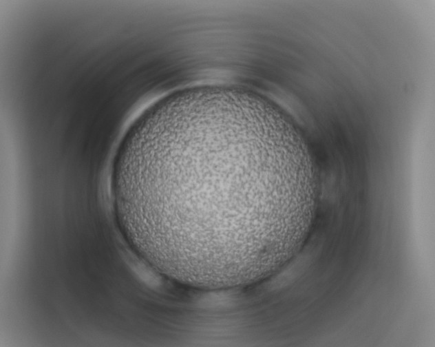 X0000114031078200910021434