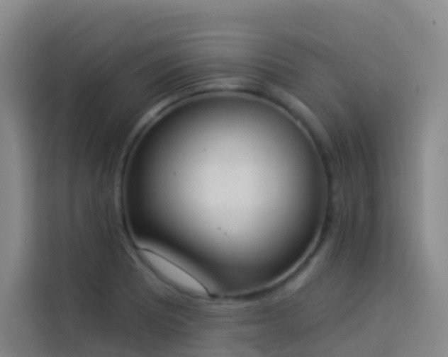 X0000114031081200910021434