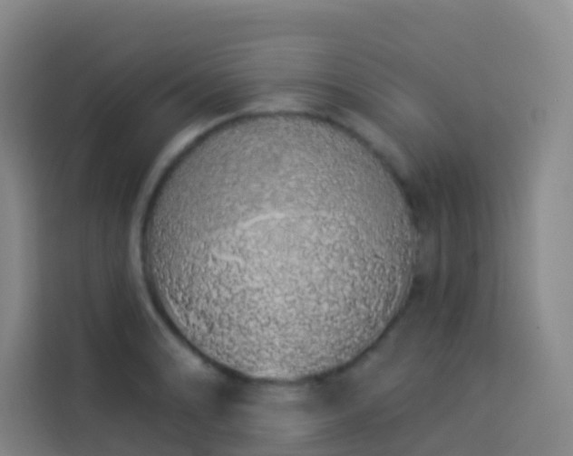 X0000114031086200910021434