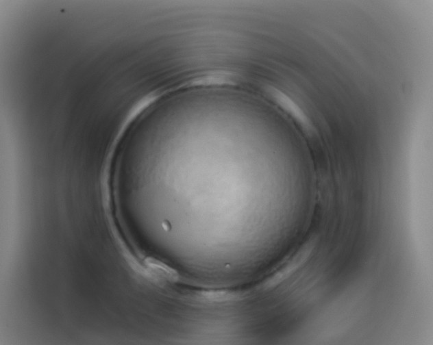 X0000114031087200910021434