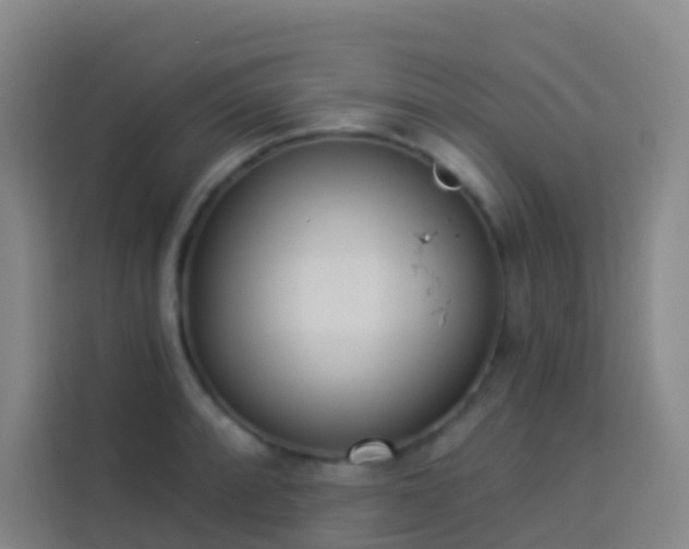 X0000114031088200910021434
