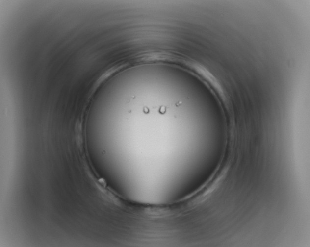 X0000114031089200910021434
