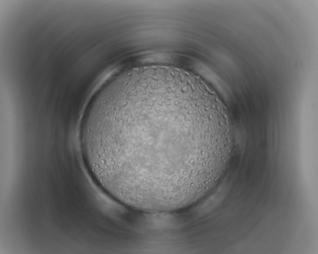 X0000114031090200910021434
