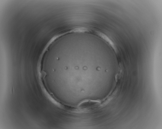 X0000114031091200910021433