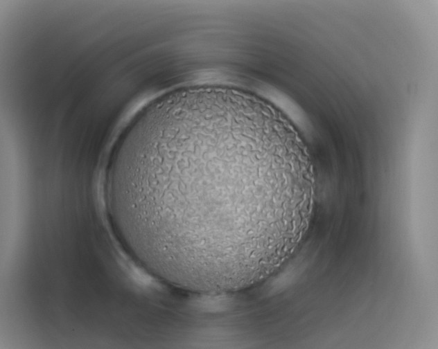X0000114031094200910021433