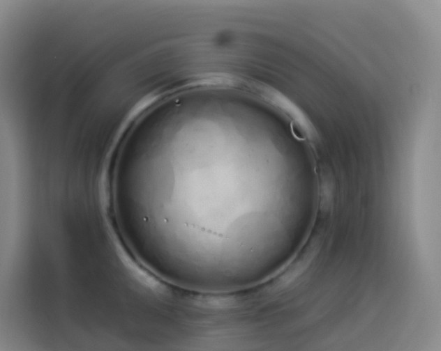X0000114031095200910021433