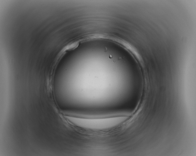 X0000114031097200910021433