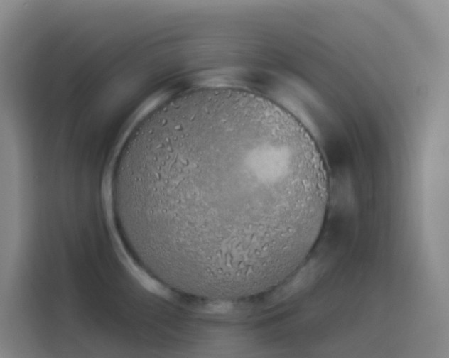 X0000114031098200910021433
