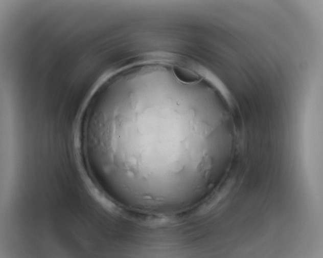 X0000114031099200910021433