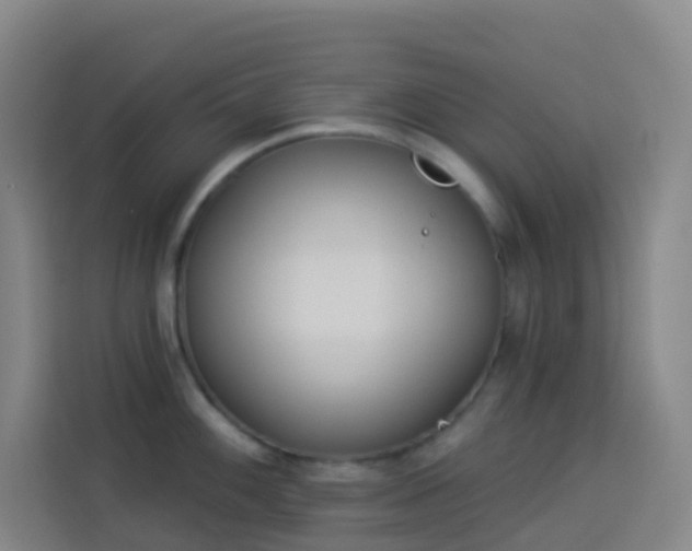 X0000114031100200910021433