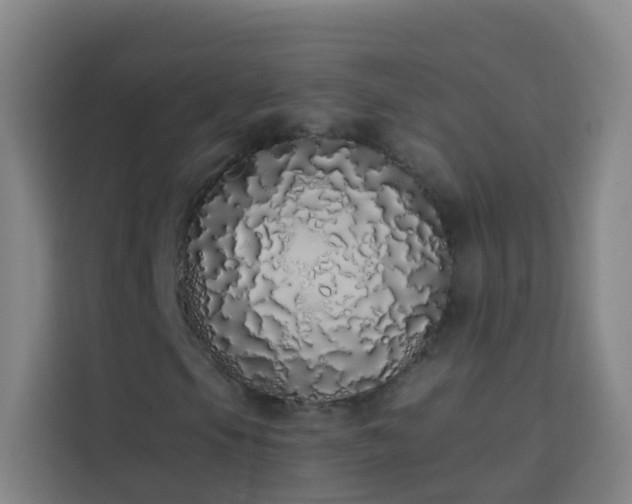 X0000114031105200910021433