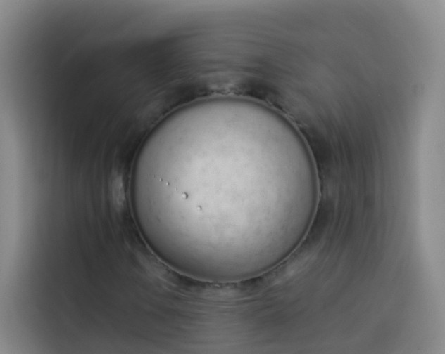 X0000114031106200910021433