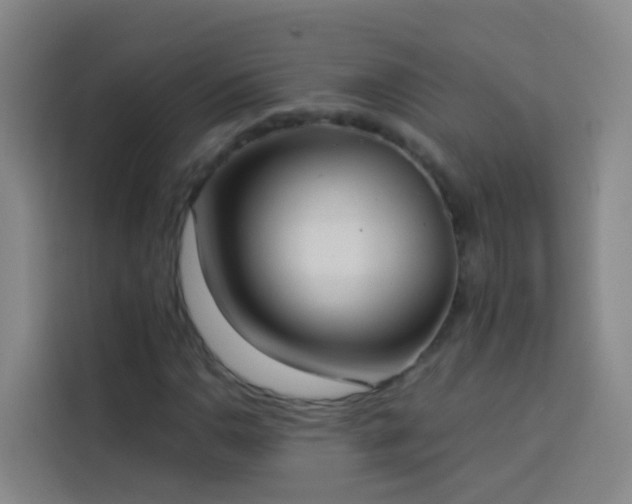X0000114031110200910021433