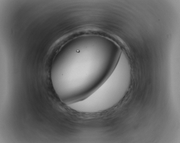 X0000114031112200910021433