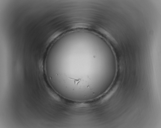 X0000114031113200910021433