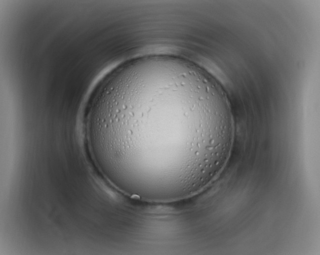 X0000114031119200910021433