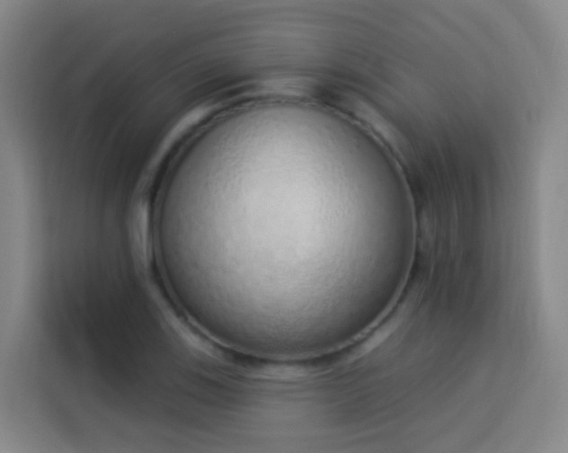 X0000114031123200910021433