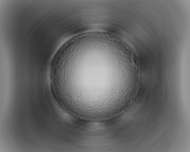 X0000114031124200910021433