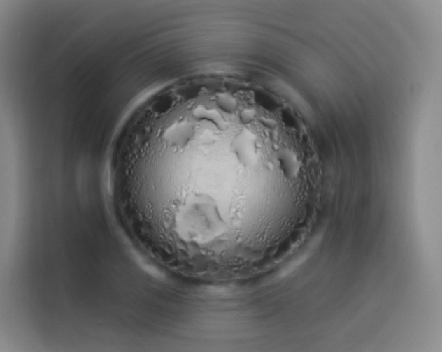 X0000114031125200910021433