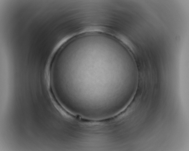 X0000114031127200910021433