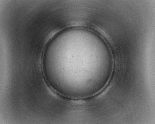 X0000114031129200910021433